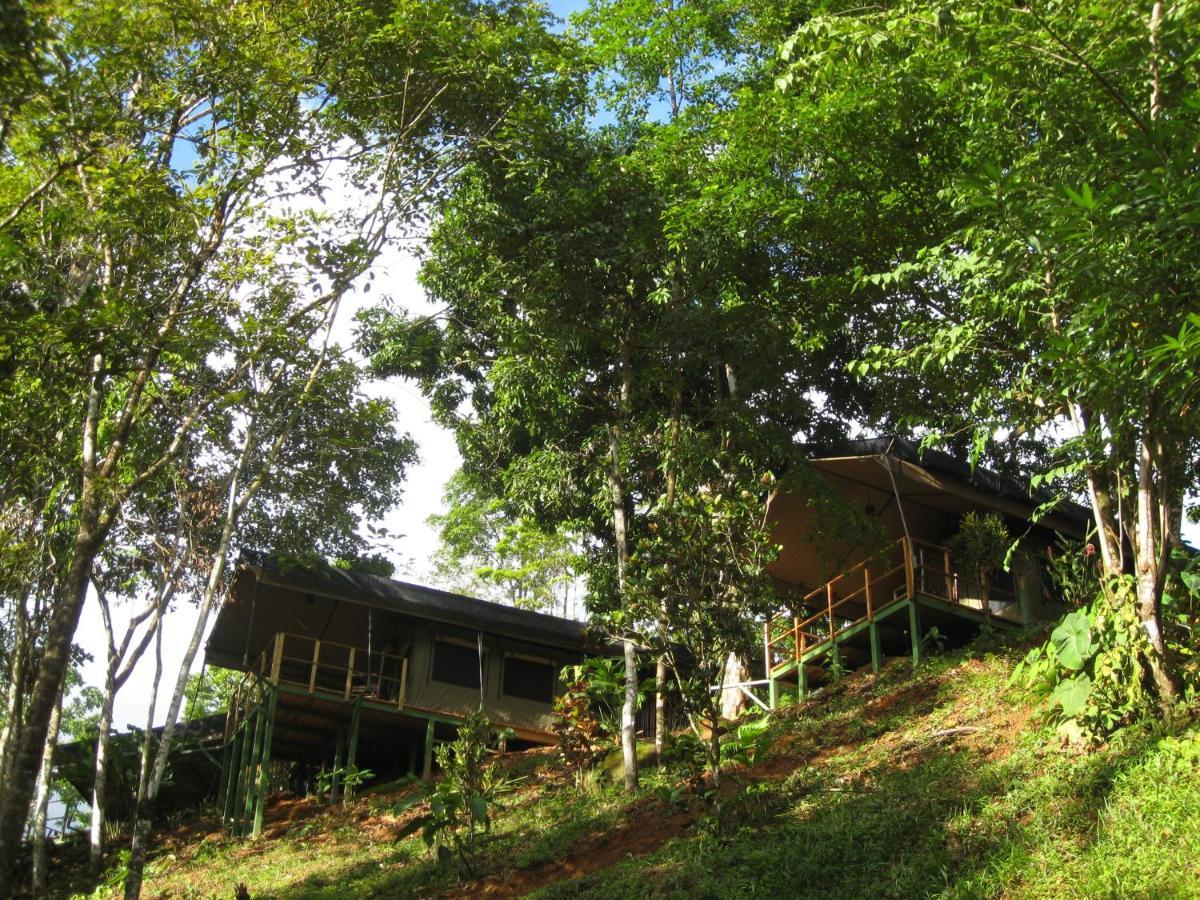 Rio Tico Safari Lodge Punta Mala Exterior foto